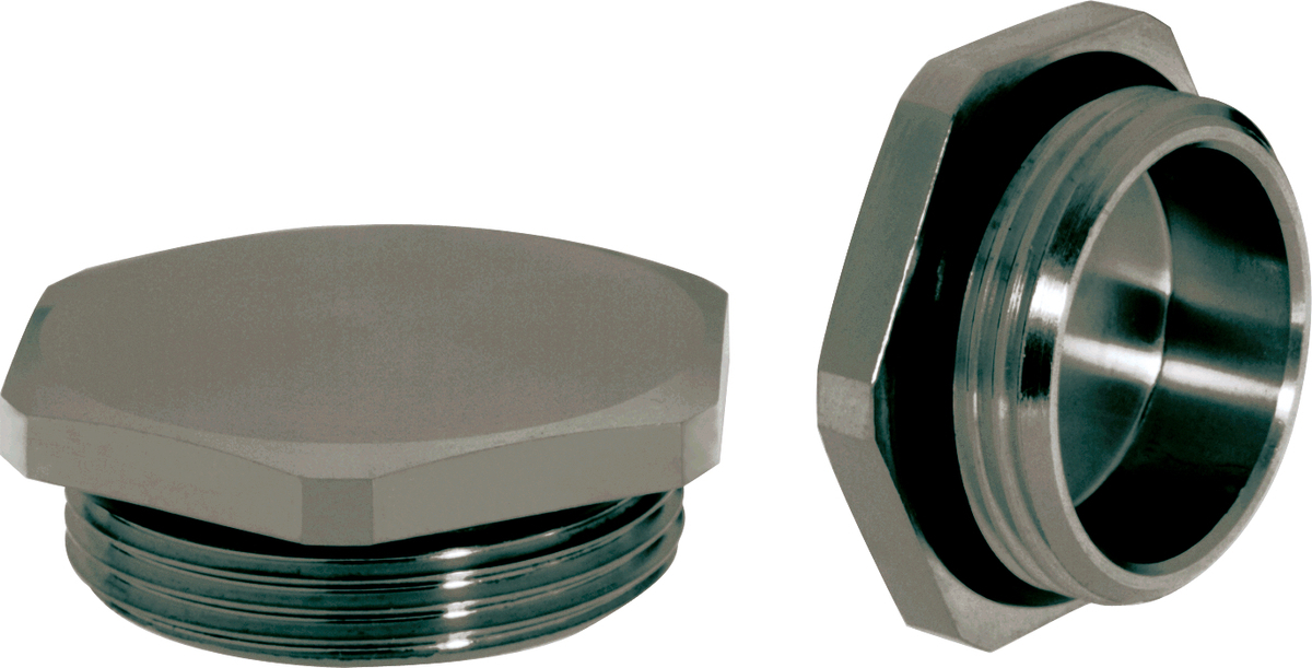 SKINDICHT BL-M HEX. 20X1.5 +O-RING