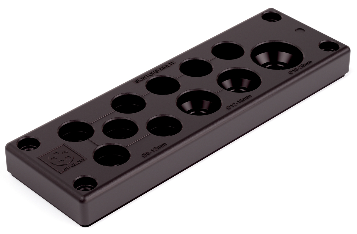 SKINTOP MULTI VERSION 3