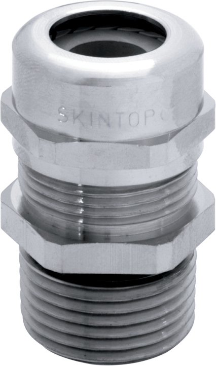 SKINTOP MS NPT 3/8''